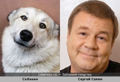 Добрый собакен похож на доброго Дукалиса)