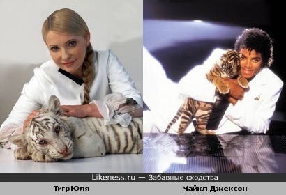Юлия Тимошенко похожа на Майкла Джексона