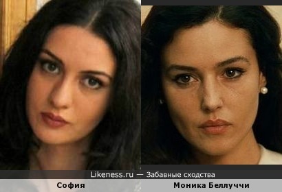 София похожа на Монику Белуччи