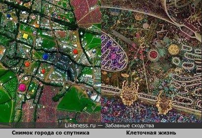 Снимок города со спутника напоминает Клеточную жизнь