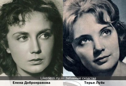 Елена Добронравова и Терье Луйк