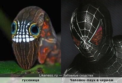 Гусеница похожа на Человека-паука в чёрном