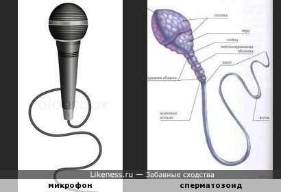 Микрофон похож на сперматозоид