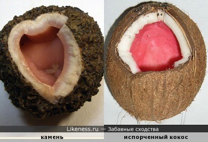 Камень похож на испорченный кокосовый орех