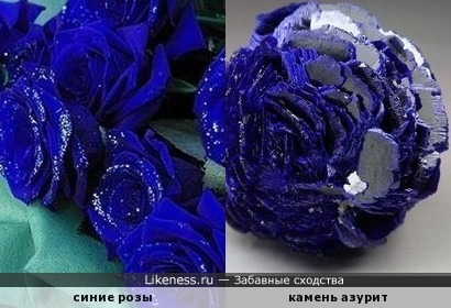 Синие розы похожи на азурит
