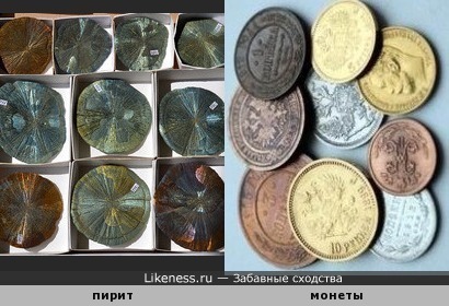 Образцы &quot;дисковидных конкреций&quot; пирита похожи на коллекцию монет