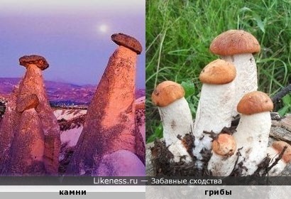 Камни напоминают грибы