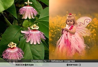Маленькие танцующие цветочные феи )