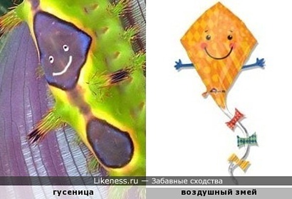 У рожденных ползать тоже есть мечта!... У рожденных ползать тоже есть мечта!...