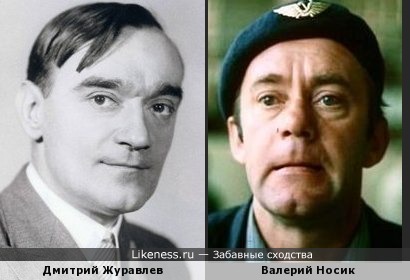 Дмитрий Журавлёв похож на Валерия Носика