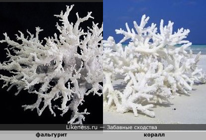 Фальгурит , соединение минералов, которое образуется при попадании молнии в песок, напоминает коралл