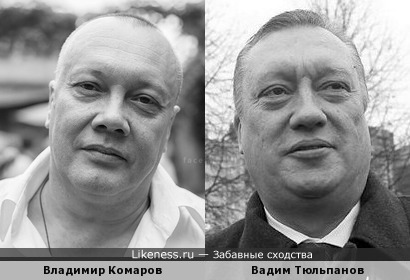 Владимир Комаров похож на Вадима Тюльпанова