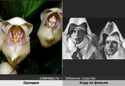 Кадр из фильма &quot;Праздник святого Йоргена&quot; и Орхидеи
