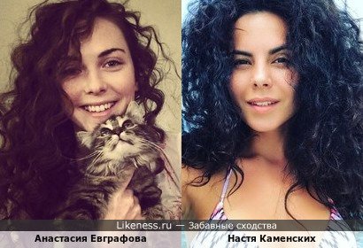 Анастасия Евграфова похожа на Настю Каменских