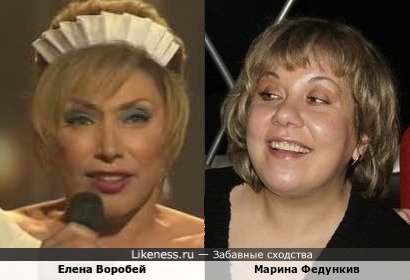 Елена Воробей похожа на Марину Федункив