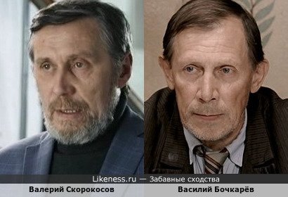 Валерий Скорокосов похож на Василия Бочкарёва