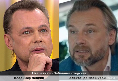 Владимир Левкин похож на Александра Ивашкевича