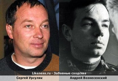 Сергей Урсуляк похож на Андрея Вознесенского
