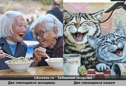 Две смеющиеся женщины напоминают двух смеющихся кошек