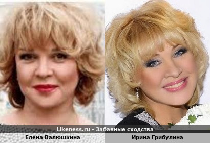 Елена Валюшкина похожа на Ирину Грибулину