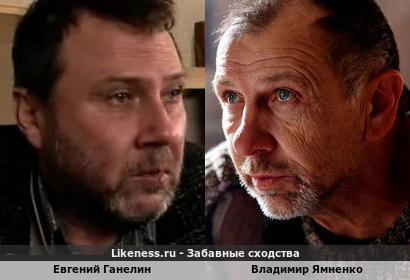 Евгений Ганелин похож на Владимира Ямненко