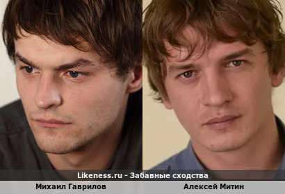 Михаил Гаврилов похож на Алексея Митина
