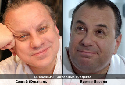 Сергей Журавель похож на Виктора Цекало
