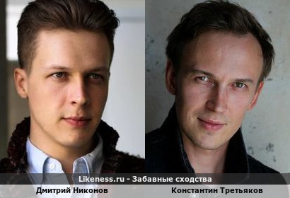 Дмитрий Никонов похож на Константина Третьякова