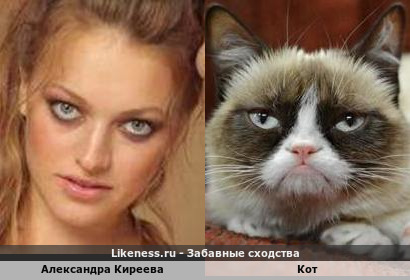Александра Киреева похожа на кота