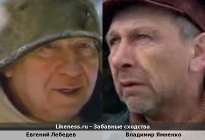 Евгений Лебедев похож на Владимира Ямненко