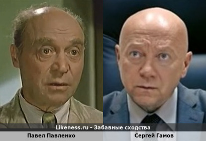 Павел Павленко похож на Сергея Гамова