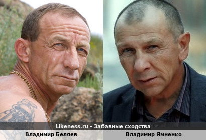 Владимир Беляев похож на Владимира Ямненко