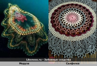 Медуза напоминает салфетку