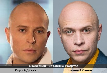 Сергей Дружко похож на Николая Лютова