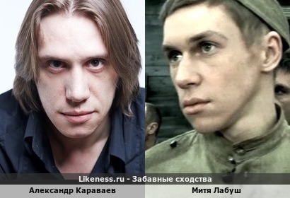 Александр Караваев похож на Митю Лабуша