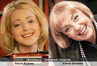 Ольга Будина похожа на Елену Шанину