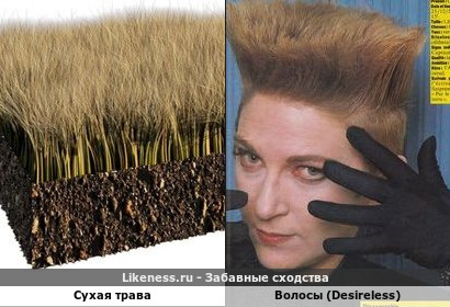 Сухая трава напоминает волосы певицы Desireless