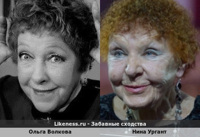 Ольга Волкова похожа на Нину Ургант