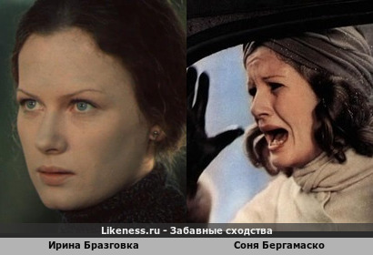 Ирина Бразговка похожа на Соню Бергамаско