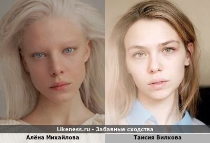 Алёна Михайлова похожа на Таисию Вилкову