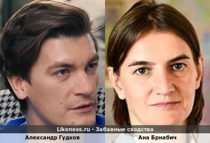 Александр Гудков похож на Ану Брнабич