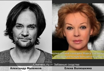 Александр Маленков и Елена Валюшкина