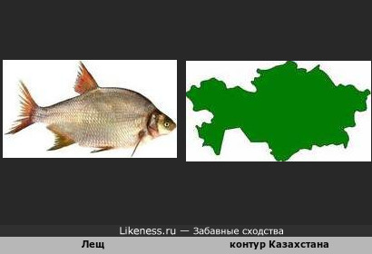 Контур Казахстана напоминает рыбу лещ