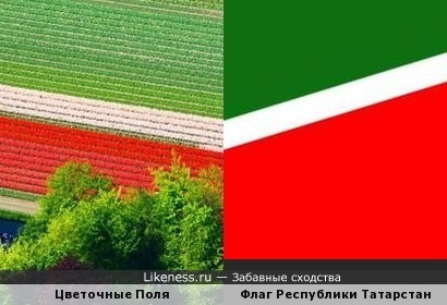 Цветочные поля напоминают флаг республики Татарстан