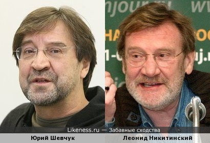 Юрий Шевчук похож на Леонида Никитинского