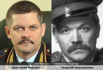 Анатолий Якунин похож на Георгия Николаенко
