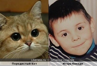 Игорь Кенеди похож на Кота!!