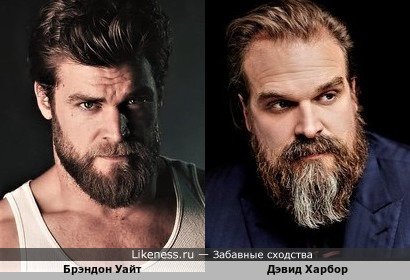 Брэндон Уайт похож на Дэвида Харбора Брэндон Уайт похож на Дэвида Харбора