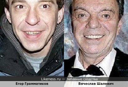 Егор Грамматиков похож на Вячеслава Шалевича