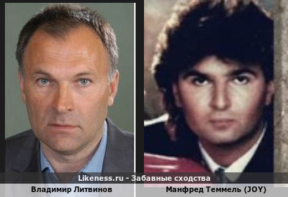 Владимир Литвинов похож на Манфреда Теммеля (JOY)